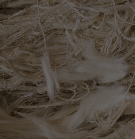 NQ Asbestos Removals